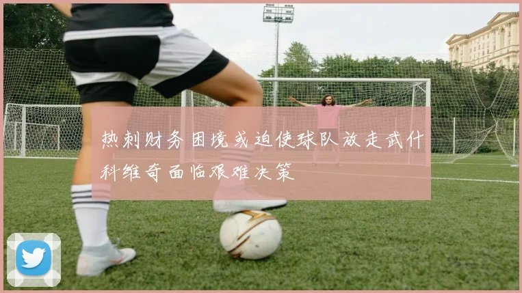 热刺财务困境或迫使球队放走武什科维奇面临艰难决策