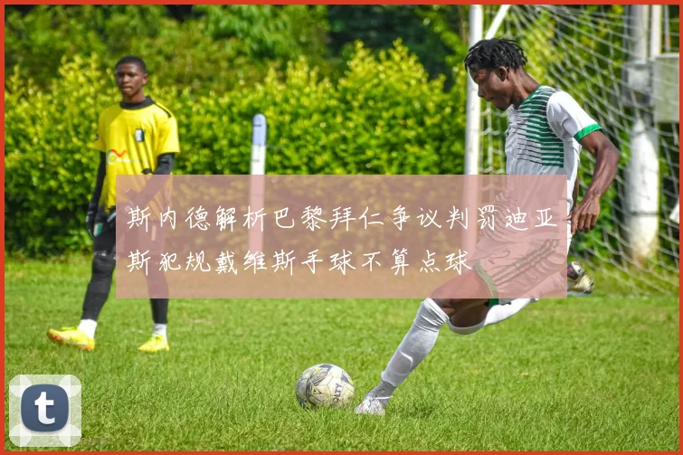 斯内德解析巴黎拜仁争议判罚迪亚斯犯规戴维斯手球不算点球